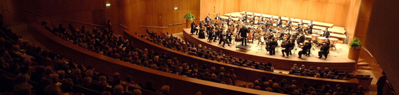 Concerto orchestra HaydnDirettore: Gustav Kuhn