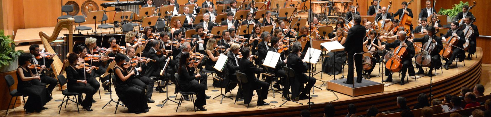 Haydn orchestra